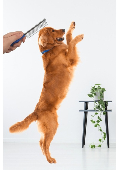 Kedi Tarağı Köpek Tarağı Kedi Köpek Tüy Açıcı