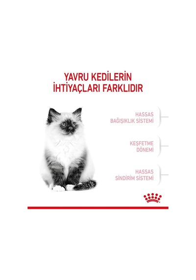 Kitten Kuru Kedi Maması, Yavru Kedi, 4 Kg