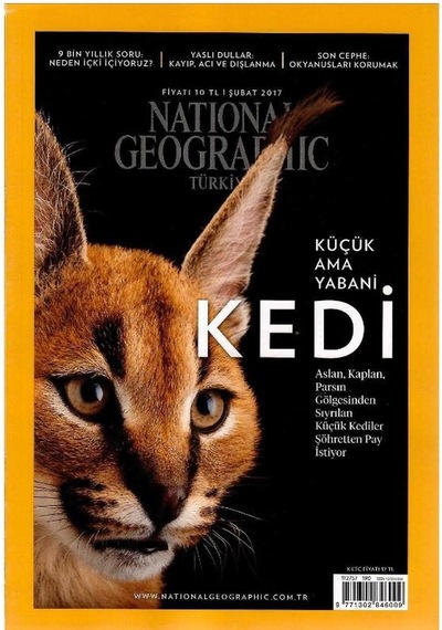 National Geographic Türkiye - Küçük Ama Yabani Kedi Retro Koleksiyon Eski Sayı : Şubat 2017 Not: Ekleri Yoktur