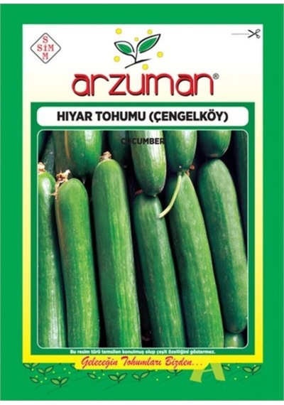 Hıyar Tohumu Çengel Köy