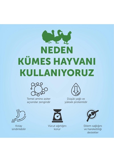 Senior Kümes Hayvanlı Yaşlı Kedi Maması 400 Gr