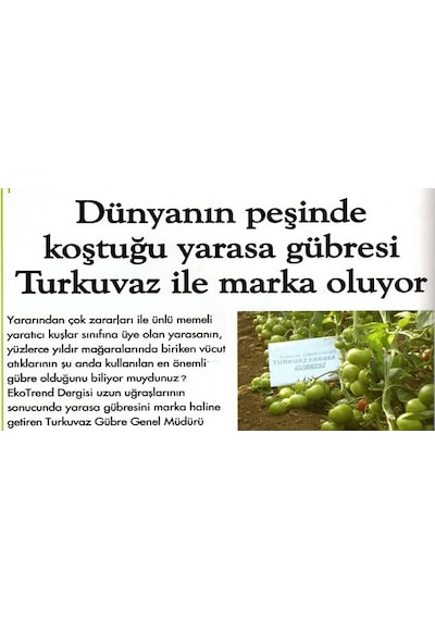 500 ML Turkuvaz Bat Power Organik Sıvı Yarasa Gübresi