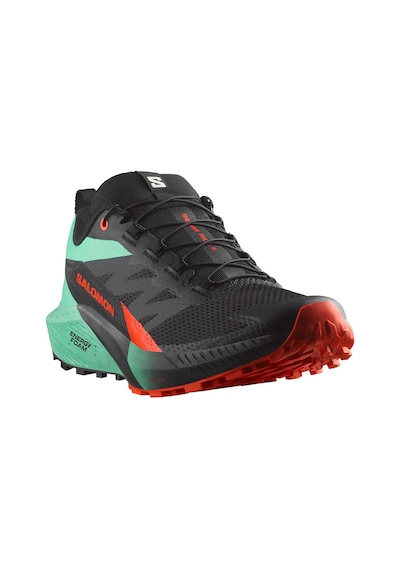 Salomon Sense Ride 5 Erkek Patika Koşusu Ayakkabısı 28504 Siyah