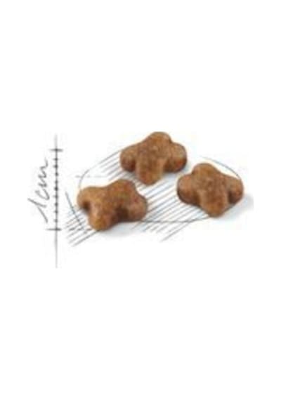 Royal Canin Royal Canın Kıtten 2kg