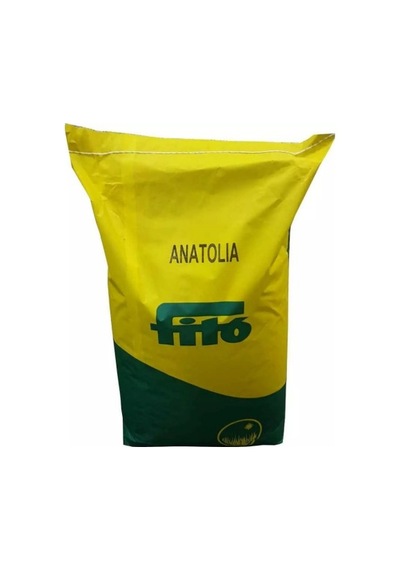 Çim Tohumu Lolium 1000 Gr Fito Anatolia 6 Karışım