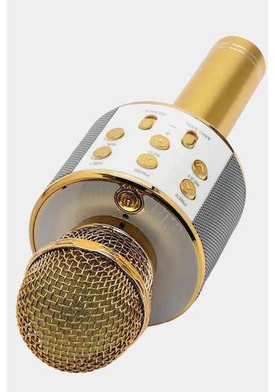 Eğlenceli Karaoke Mikrofon Bluetooth Hoparlör Usb Sd Kart Ve Aux Girişli Bt Hoparlörlü