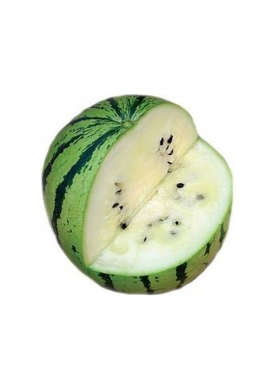 Nadir Beyaz Karpuz Tohumu 5 Tohum + Tohum