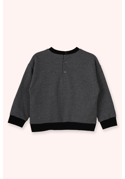 Panço Erkek Bebek Yuvarlak Yaka Antrasit Sweatshirt Gri
