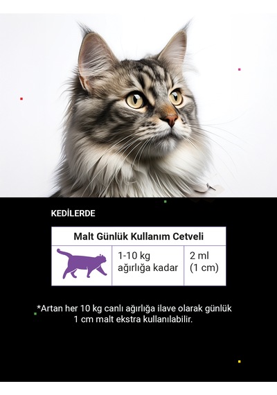 Cutepet Skin & Coat Kedi Deri Ve Tüy Sağlığı Malt 100g Omega 3-6-9, Biotin Ve Kolajen Destekli