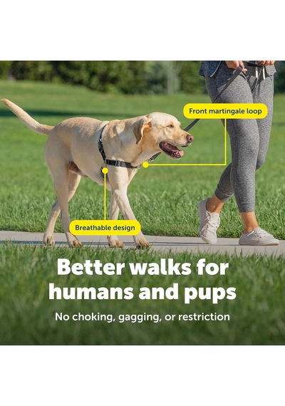 Tr Easy Walk No-pull Köpek Göğüs Tasması, Çekmeyi Önlemeye Yardımcı, Kontrolü Ele Alın Ve Tasmayla Daha İyi Genel