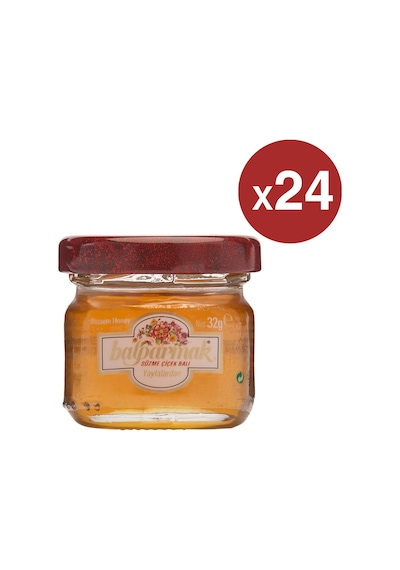 Balparmak Yayla Çiçek Balı 24 x 32 G