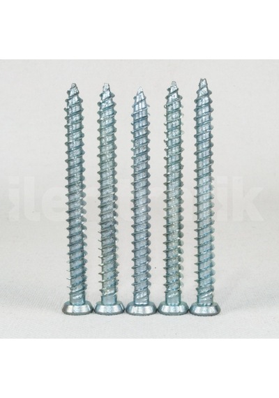 Buton Montaj Vidası ve Dubeli 20 Adet N11.14248