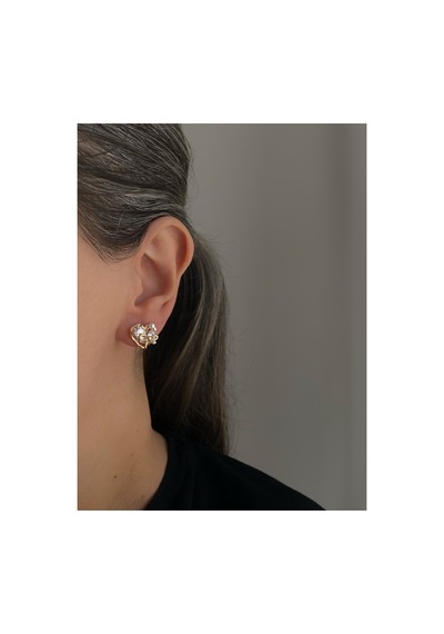 Çelik Rose Gold Kristal Taşlı Kalp Wishes Küpe -kararma Yapmaz- Altın
