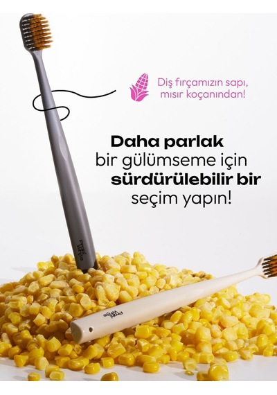 Probiwhite Himalaya Tuzlu Doğal Vegan Diş Fırçası El Yapımı Stant Hediye