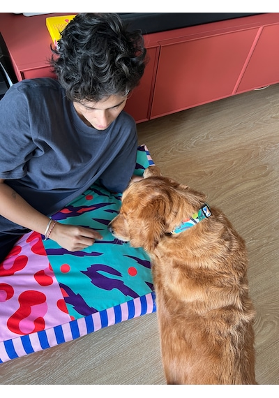Kedi Ve Köpek Yatağı 80x60 Cm - Desenli, Yıkanabilir Kılıflı Loule