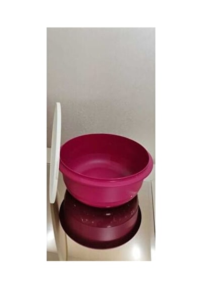 Miksim 9.5 Litre Fuşya Saklama Kabı Fuşya - 146079602 Fuşya