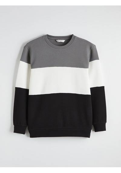 Lcw Vision Antrasit Bisiklet Yaka Renk Bloklu Erkek Sweatshirt