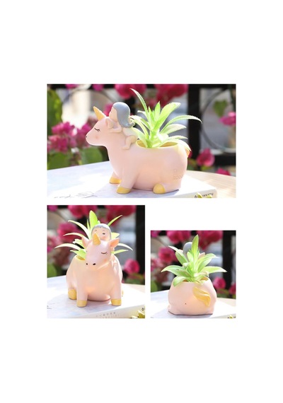 Unicornlu Kız Kaktüs Saksısı