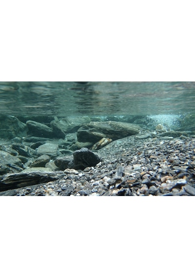 Kanki Pet Kp8550031 Akvaryum Arka Fon Yapıştırma 85 X 50 Cm