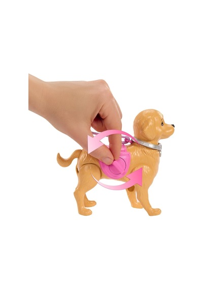 Jjb46 Ve Köpekçiğin Yürüyüş Zamanı