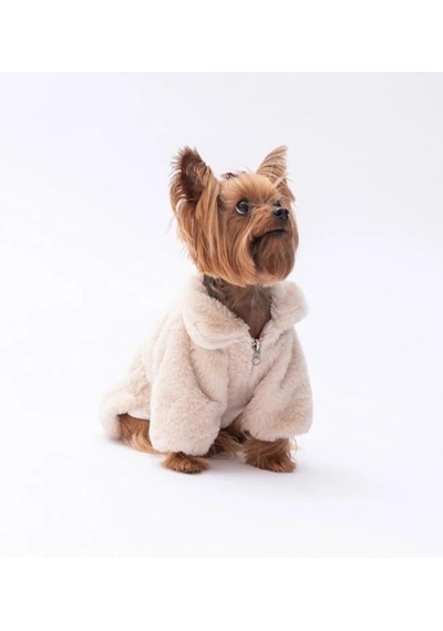 Pawstar Ekru Paris Küçük Irk Köpek Ceketi