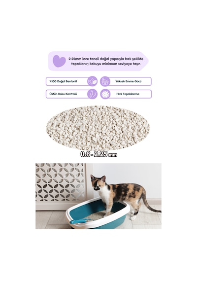 2 Adet 5lt Lavanta Kokulu Bentonit Topaklaşan Kokusuz Kedi Kumu 5lt X 2 Adet