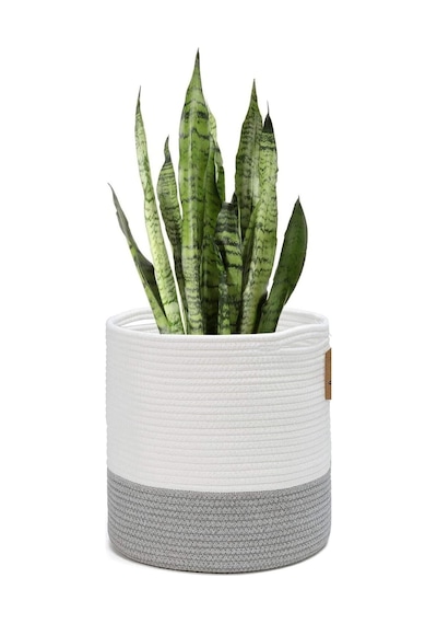 Mavaux Dekoratif Jüt Saplı Hasır Sepet Saksı 20cm X 20 Cm, Jüt Bej Saksılık, Dekoratif Saksı Ve Havluluk Gribeyaz