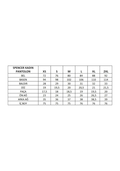 2as Spencer Kadın Softshell Pantolon-antrasit