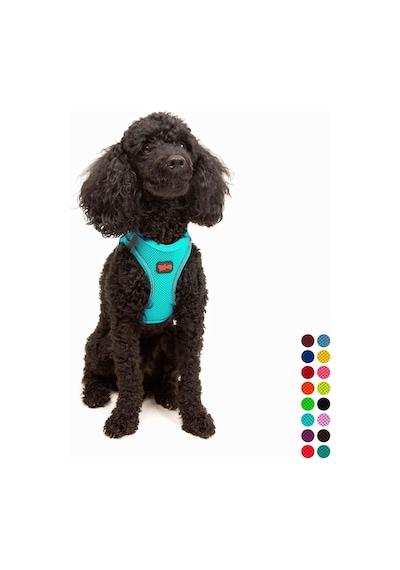 Air-mesh Küçük Ve Orta Irk Kedi Köpek Göğüs Tasması - Yumuşak, Nefes Alabilir, Dayanıklı Ocean, Xsmall