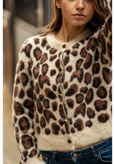 Verdeblanco Leopar Desenli Düğme Detaylı Hırka Leopar