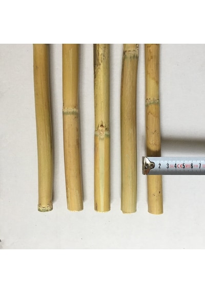 Fidan Destek Çubuğu Kamış 180-190Cm 25 Adet