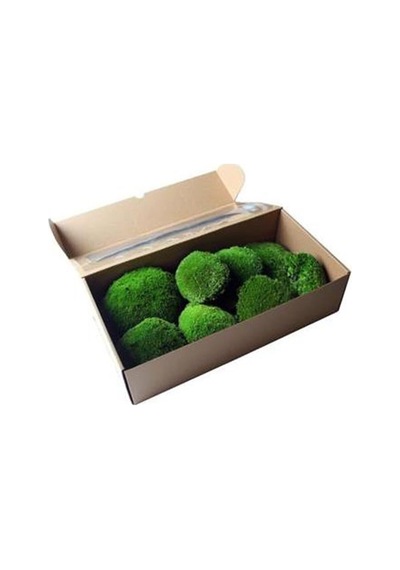 Top Yosun Şoklanmış Ort. 250 Gr. Ballmoss Yosun Koyu Yeşil