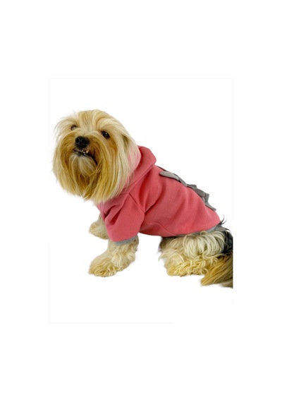 Pinky Rabbit Kapşonlu Sweatshirt Köpek Kıyafeti Köpek Elbisesi Pinky Rabbit Kapşonlu Sweatshirt Köpek Kıyafeti Köpek Elbisesi