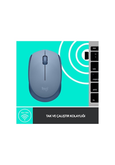 Logıtech 910-006866, M171 Bluegrey, Usb Nano 2,4g Kablosuz, 1000dpi, Optik, 3 Tuşlu, 12ay Pil Ömrü, Mouse 001