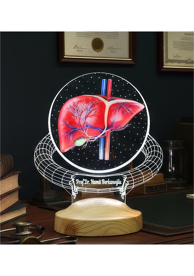 Karaciğer Hepatolog Uzmanına Hediye Kişiye Özel Gastroenteroloji & Hepatoloji Doktoru Led Lamba, Karaciğer Tasarımlı Tıp Hediyesi
