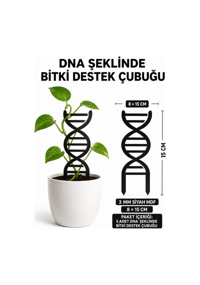Arliadesign Dna Şeklinde Bitki Destek Çubuğu 5 Li Set 8x15 Cm Siyah 3 Mm Mdf Saksı Desteği