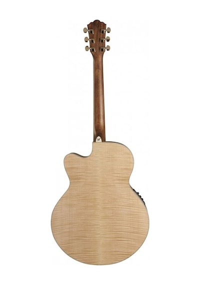 Washburn Hj40sce Heritage 40 Jumbo Elektro Akustik Gitar Profesy