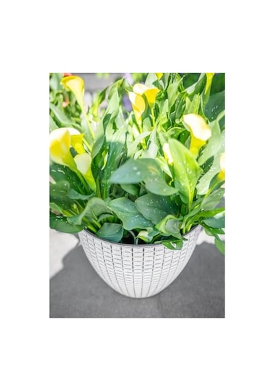 Beyaz Desenli 22 Cm Plastik Saksı