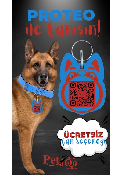 Petjoo 24.Proteo Kırmızı-Mavi Qr'lı Köpek Künyesi