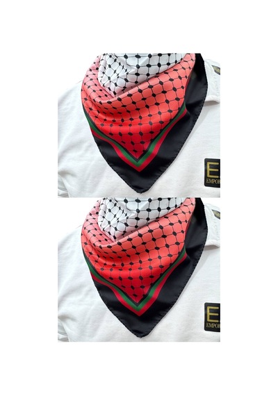Aldaıyr 2 Adet Filistin Temalı Fular 50x50 Unisex Günlük Kullanıma Uygun Puşi Şal Kefiye Filistin Bayrak Renkli 12