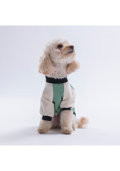 Green-yeşil Baby Teddy Sweat Kedi Köpek Sweati - Kedi Köpek Kıyafeti