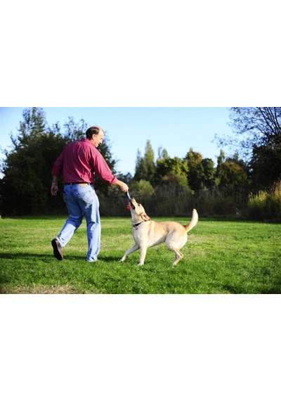 Chuckit Ultra Duo Tug 2'li Köpek Çekiştirme Topu 6.4 CM