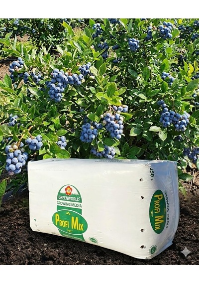 Profi Mix 250 Lt Profimix Ithal Blueberry Yaban Mersini Torfu - Ph 3,5-4,2 Asidik Toprak 0-40 Mm 0,250