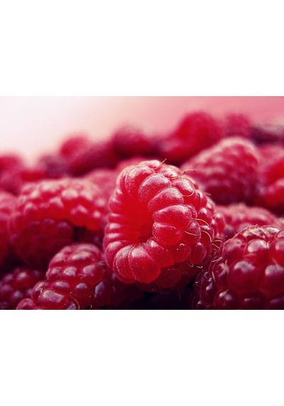 3 Lü Ahududu Fidanı Seti 1 Yaşında Rubus İdaeus Bahçeniz İçin