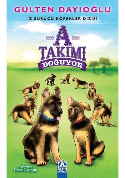 A Takımı Doğuyor - Gülten Dayıoğlu - Altın Kitaplar
