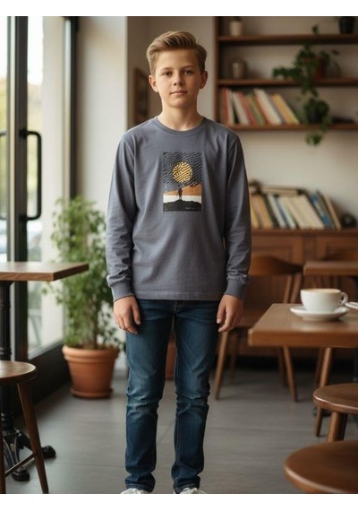 Zekids Erkek Çocuk Pamuklu Manzara Baskılı İnce Uzun Kollu Sweatshirt-16341 Gri