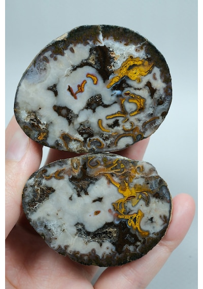 Plume Black Sea Agate Beyaz, Derin Kahverengi Ve Altın Turuncu Agate