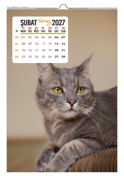 2027 Kedi Duvar Takvimi 33x48 Cm Ebat-12 Sayfa Beyaz