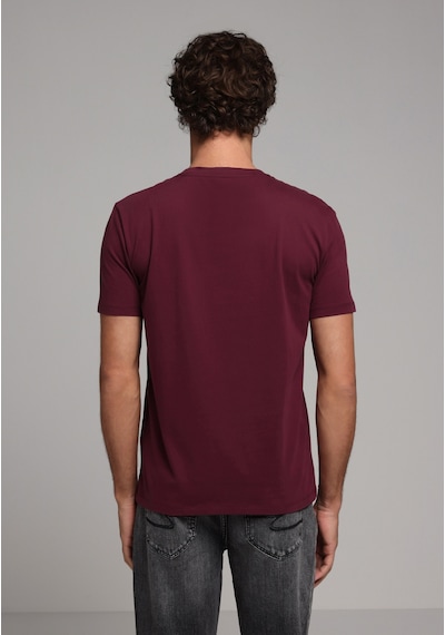 Colin's Colins Regular Fit Yuvarlak Yaka Düz Erkek Mor Kısa Kol Tişört Cl1073961 Q1.v1 Dpl Çok Renkli