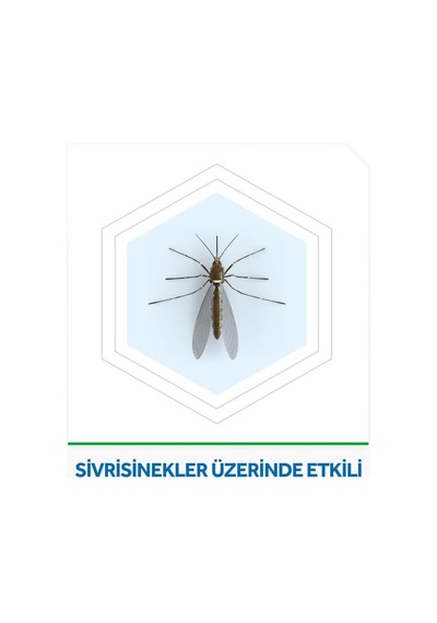 Raid Likit Elektrik 45 Gece Yedek Sivrisineklere Karşı